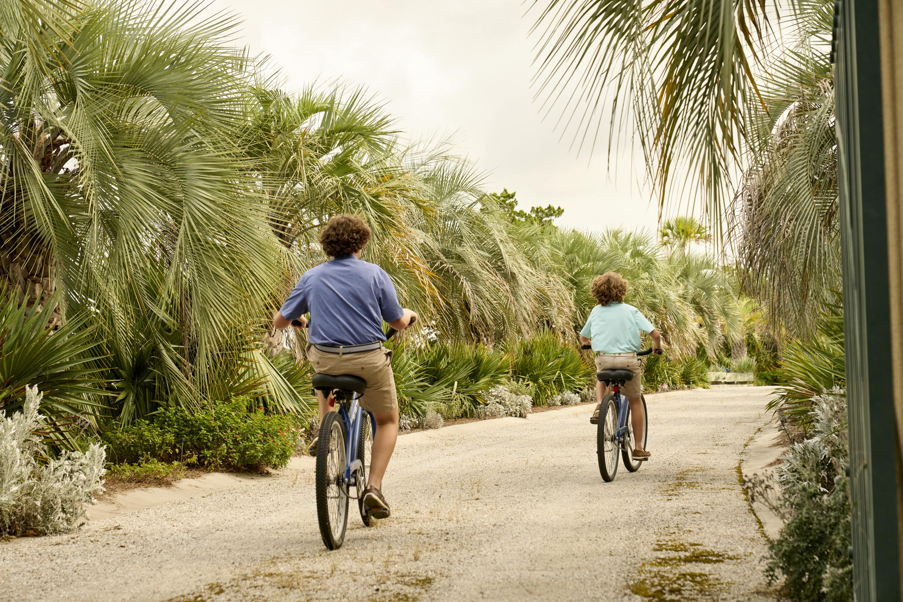 2764 Hidden Oak Drive