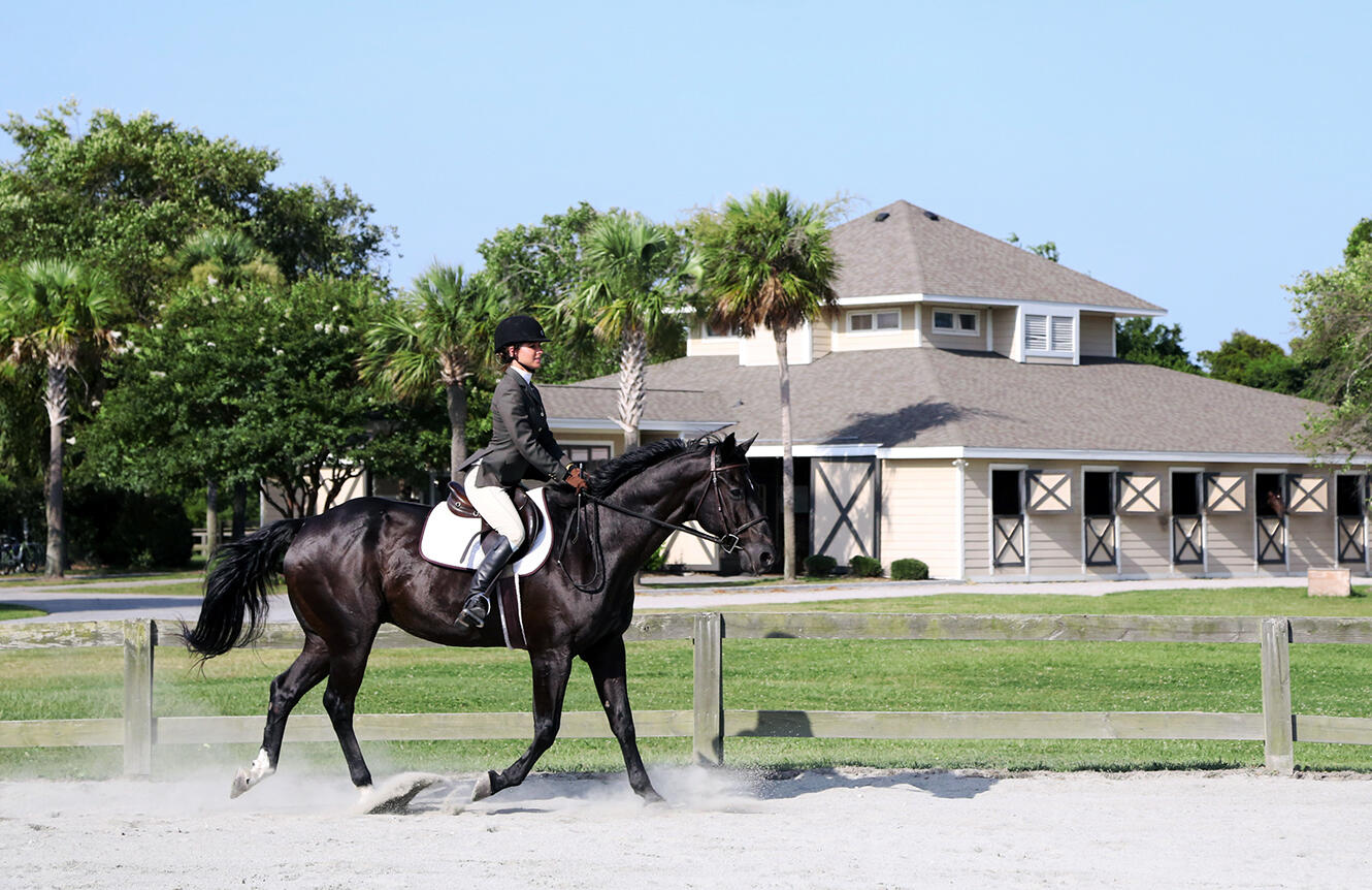 2764 Hidden Oak Drive