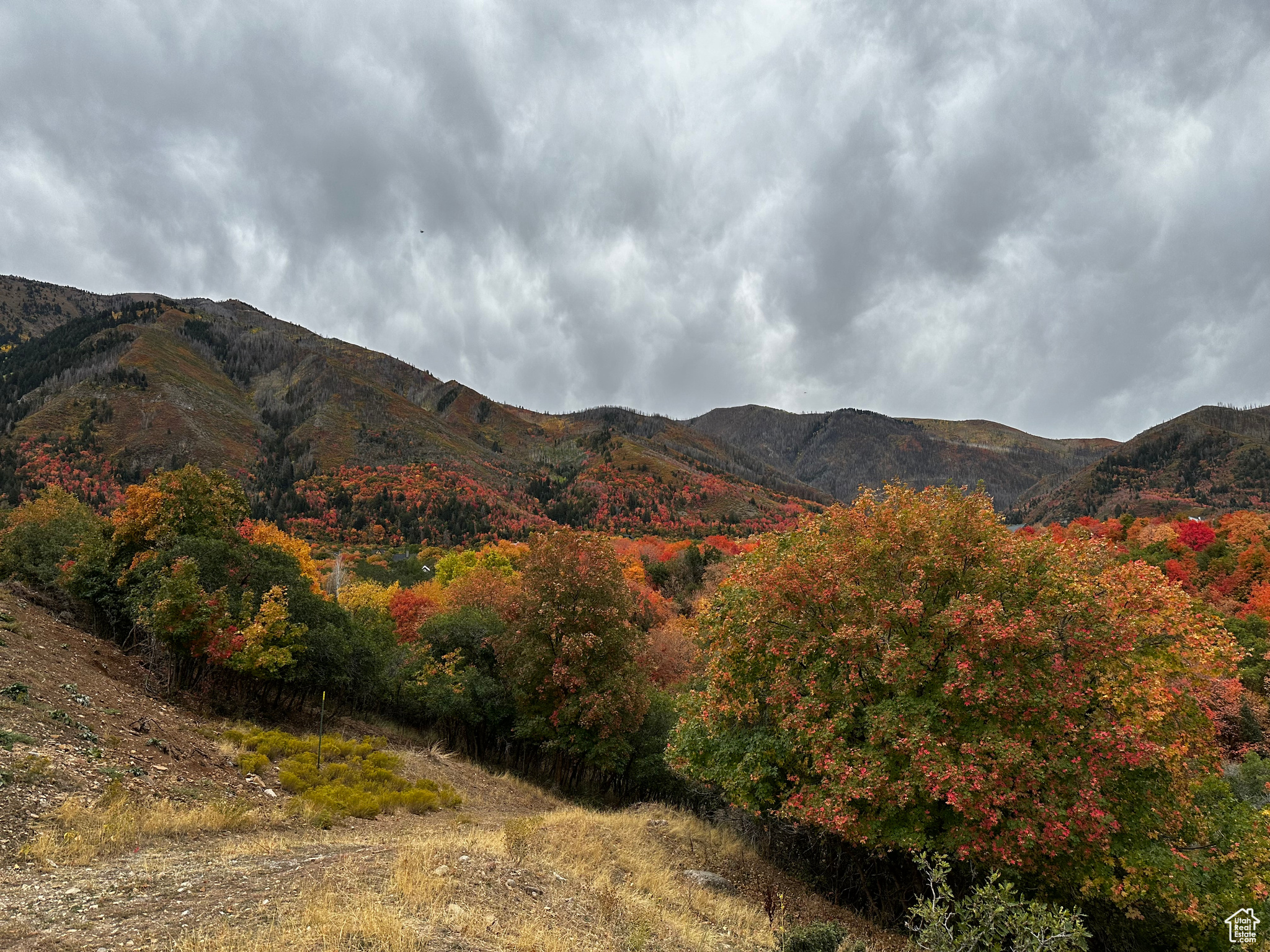 190 W AUTUMN LEAF CIR