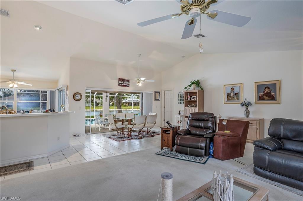 4107 Dahoon Holly CT