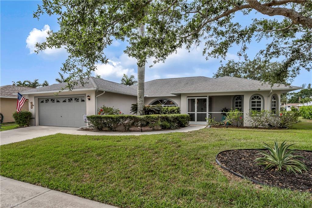 4107 Dahoon Holly CT