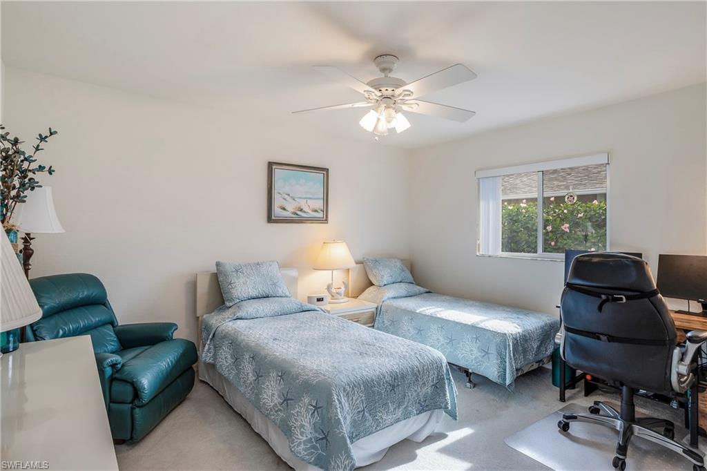 4107 Dahoon Holly CT