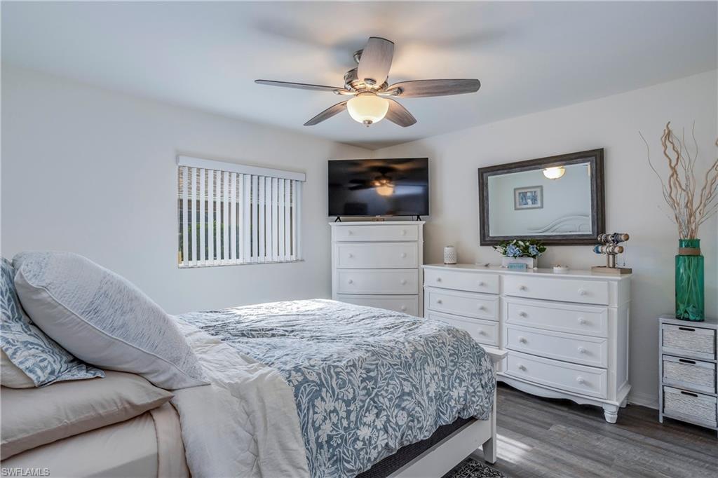 4107 Dahoon Holly CT