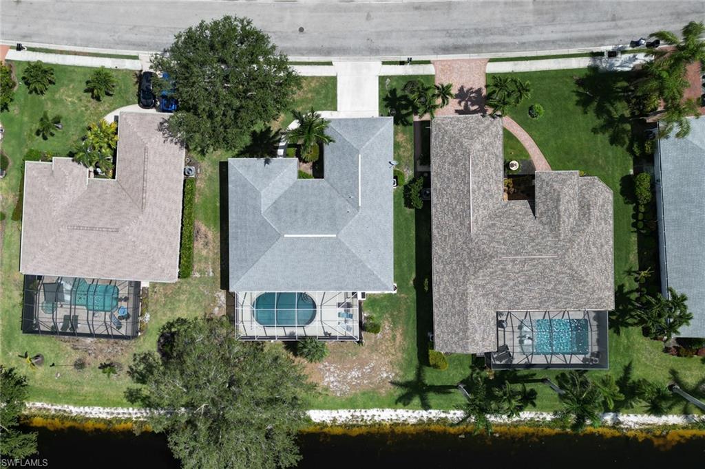 4107 Dahoon Holly CT