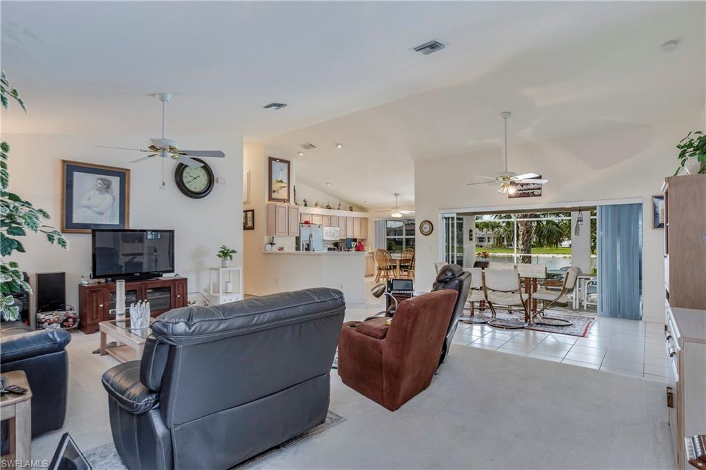 4107 Dahoon Holly CT