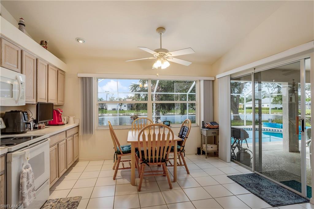 4107 Dahoon Holly CT
