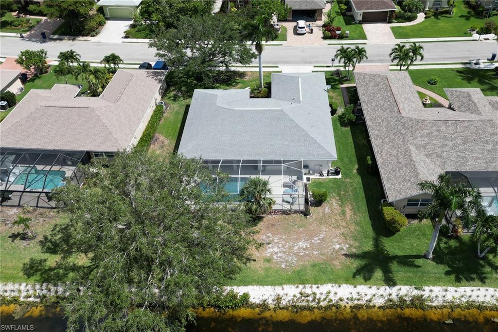 4107 Dahoon Holly CT