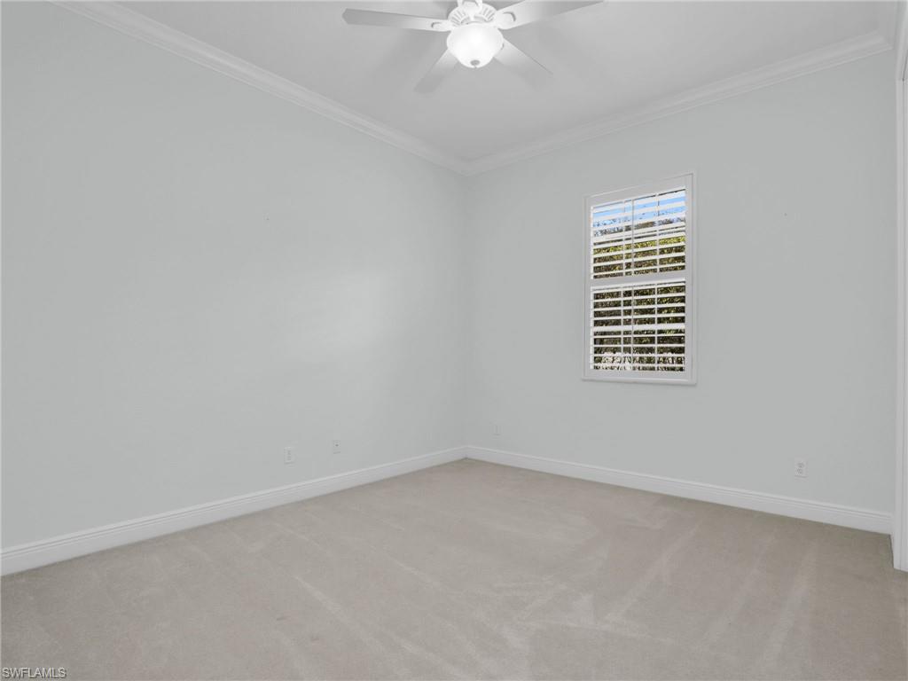 3805 Cotton Green Path DR