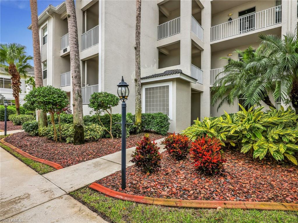 10449 Washingtonia Palm WAY 3221
