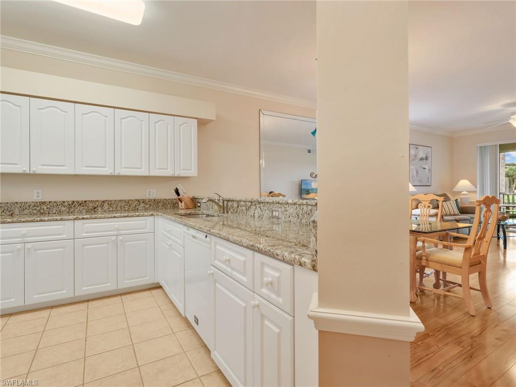 10449 Washingtonia Palm WAY 3221