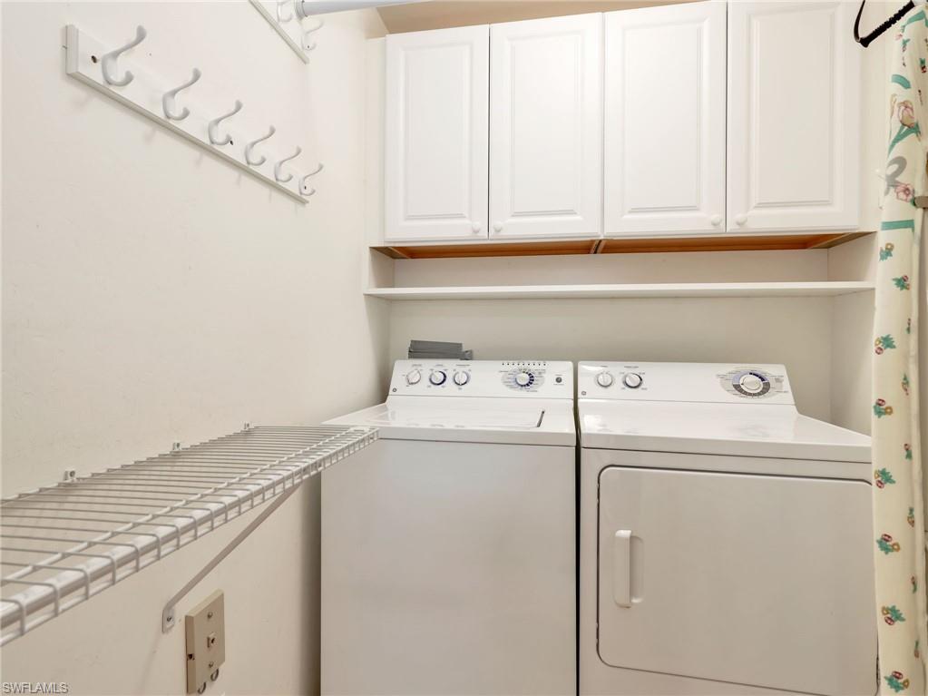 10449 Washingtonia Palm WAY 3221