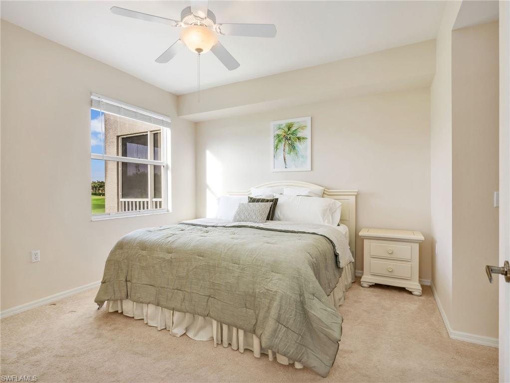 10449 Washingtonia Palm WAY 3221