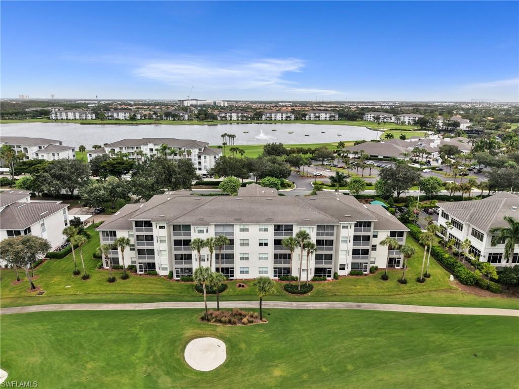 10449 Washingtonia Palm WAY 3221