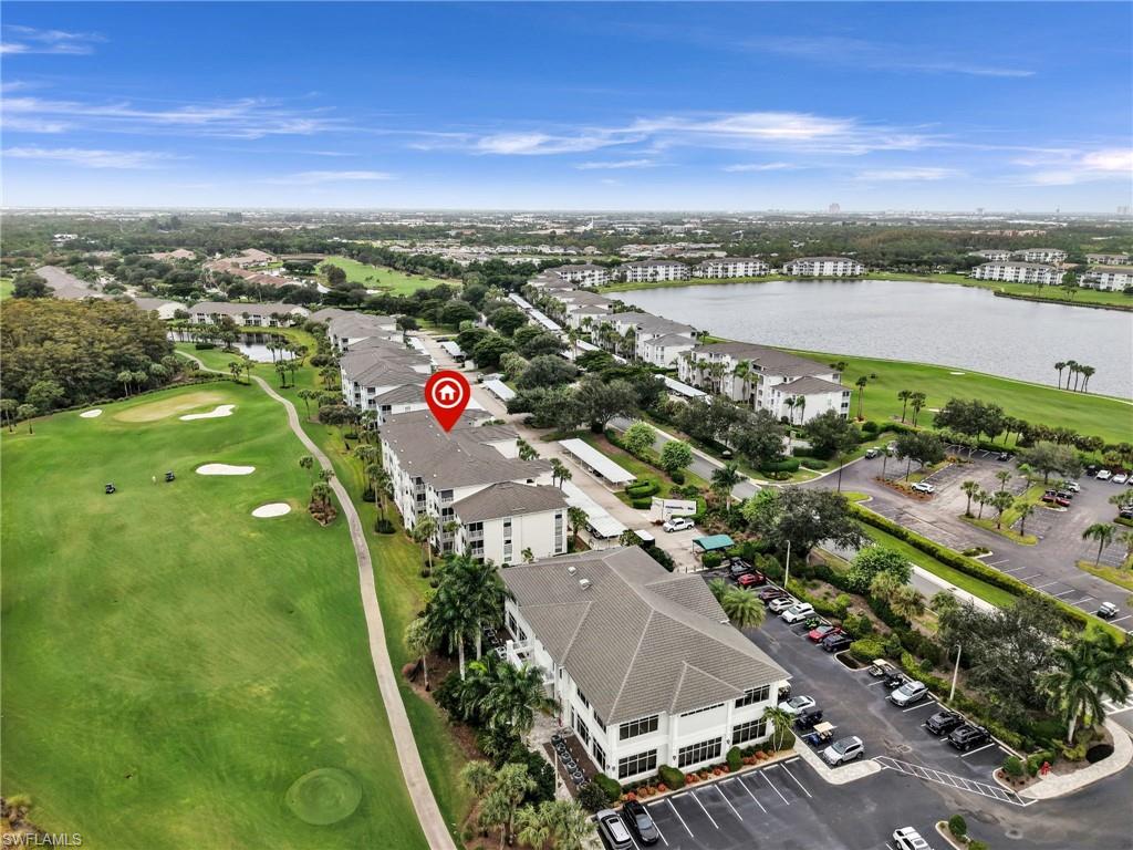 10449 Washingtonia Palm WAY 3221