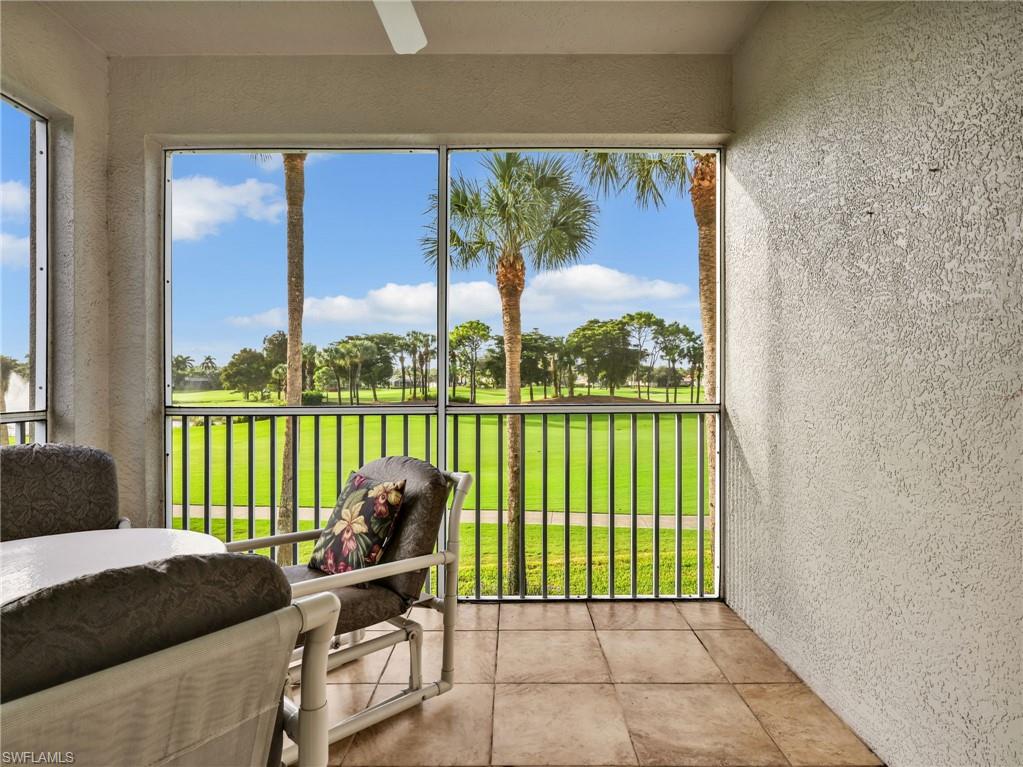 10449 Washingtonia Palm WAY 3221