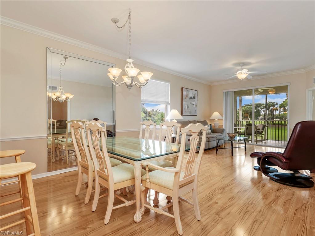 10449 Washingtonia Palm WAY 3221