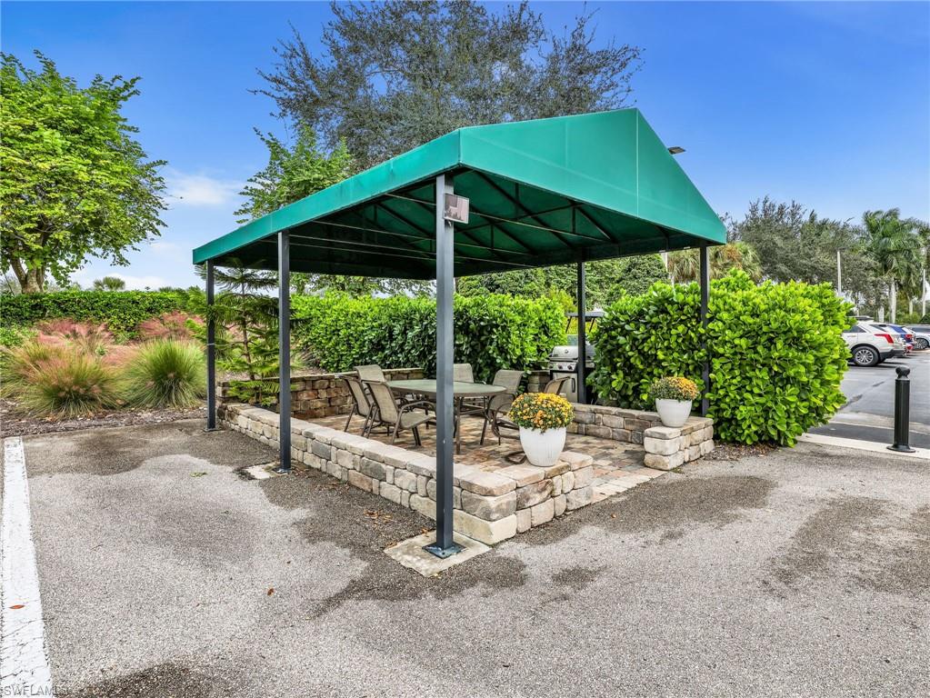 10449 Washingtonia Palm WAY 3221