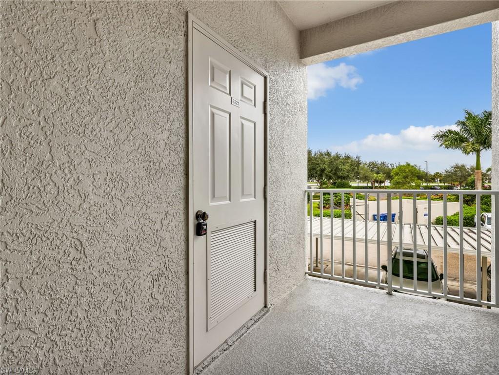 10449 Washingtonia Palm WAY 3221