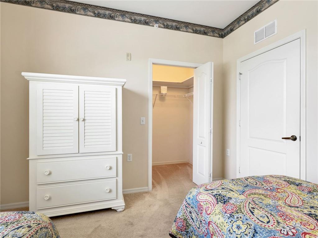 10449 Washingtonia Palm WAY 3221