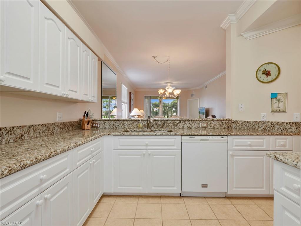 10449 Washingtonia Palm WAY 3221