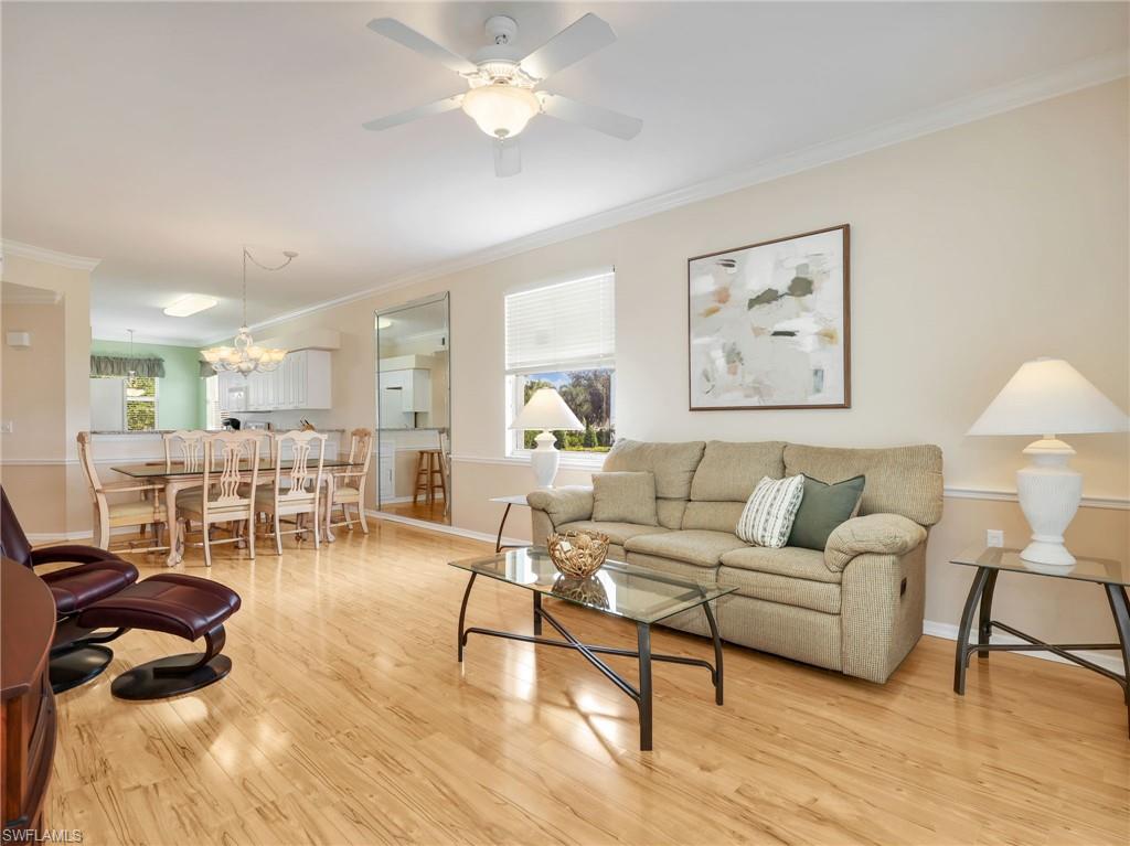 10449 Washingtonia Palm WAY 3221