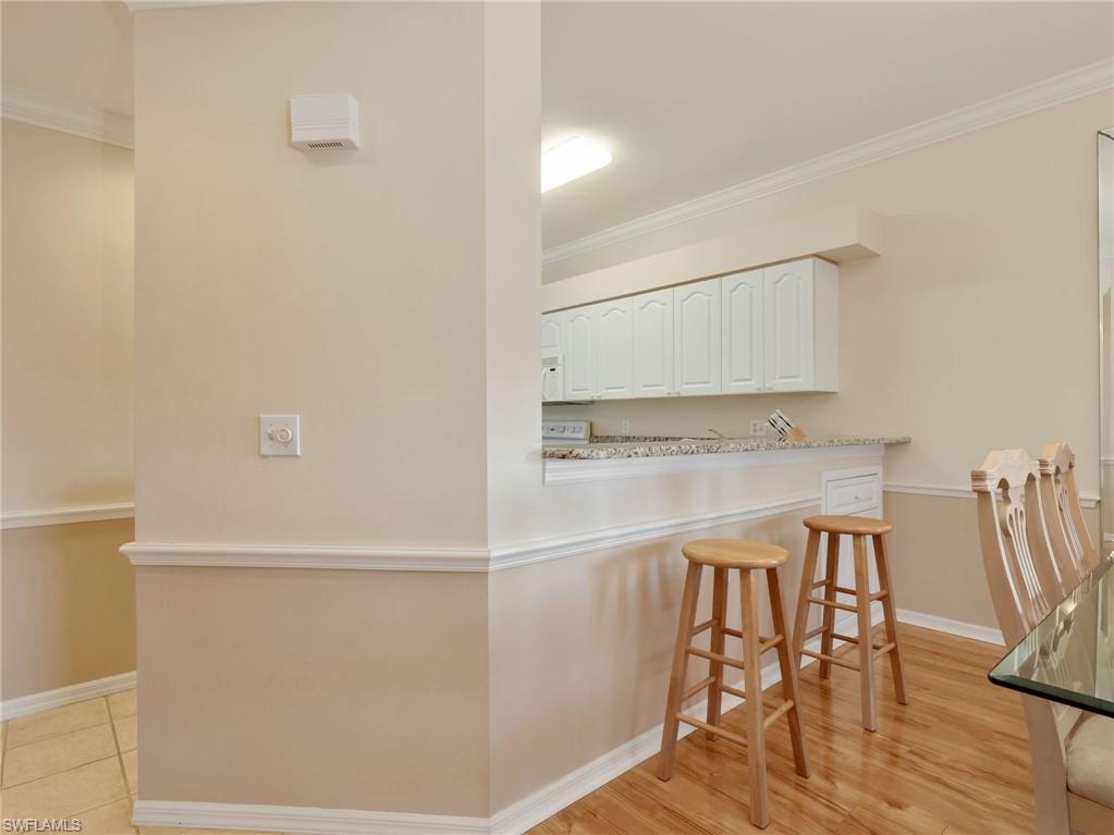 10449 Washingtonia Palm WAY 3221