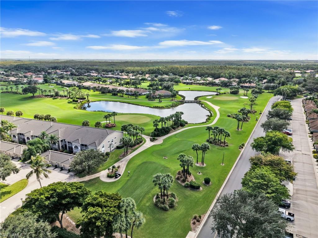 10449 Washingtonia Palm WAY 3221