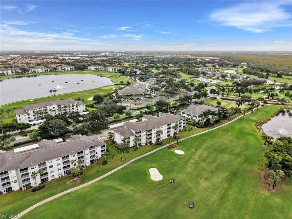 10449 Washingtonia Palm WAY 3221