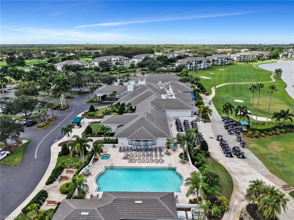 10449 Washingtonia Palm WAY 3221