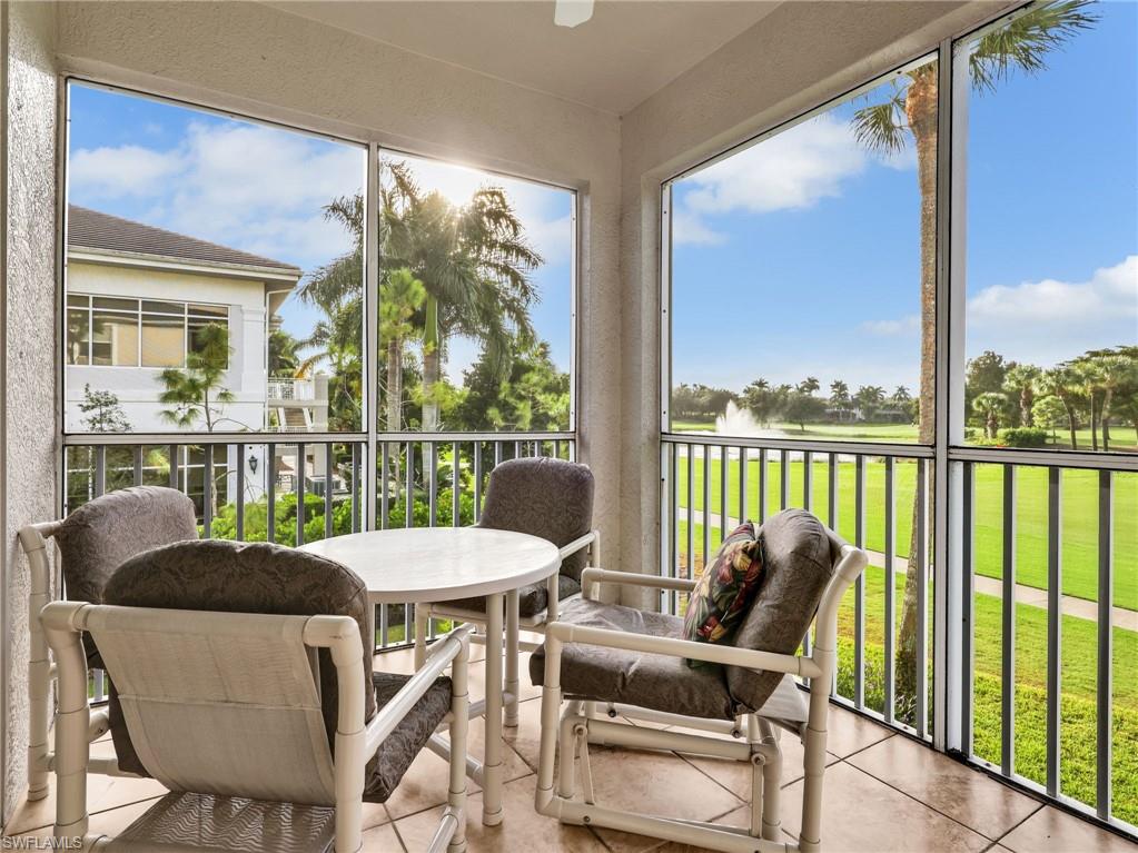 10449 Washingtonia Palm WAY 3221