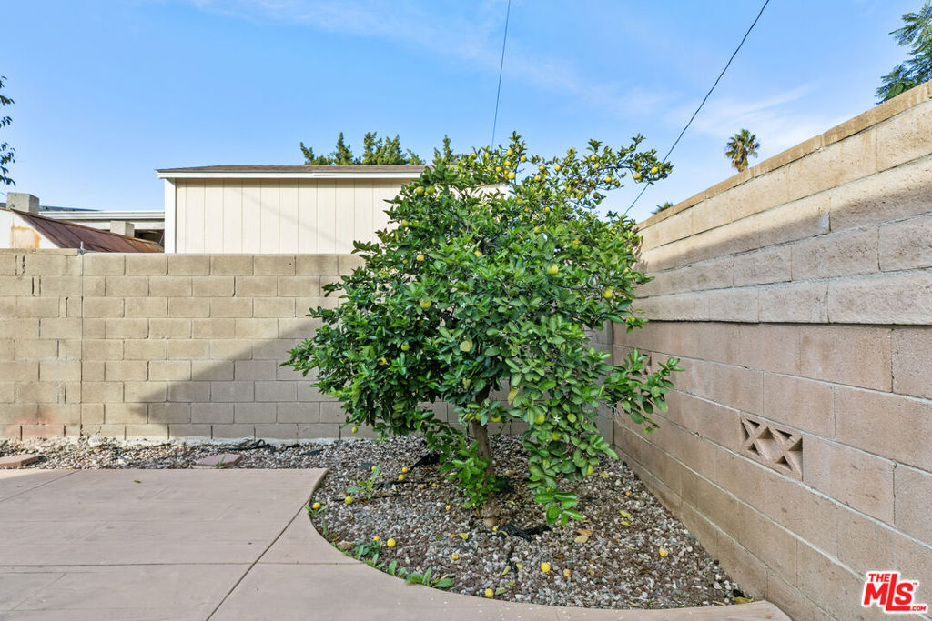 10823 Cantara Street