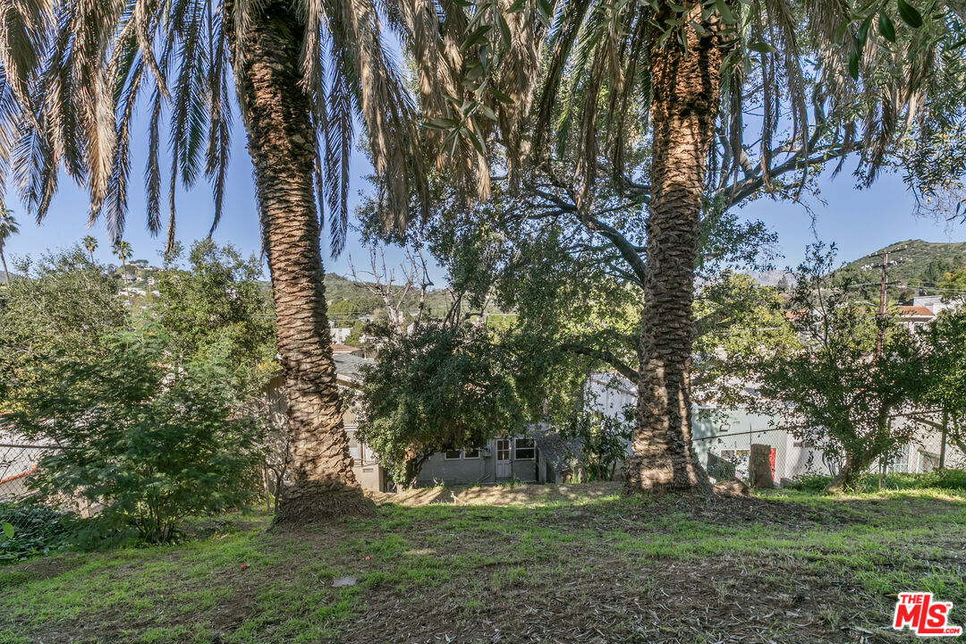 1720 Orchard Ave
