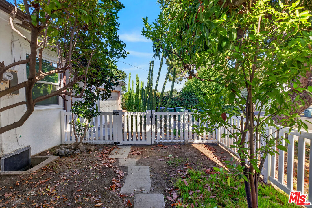 Small fenced yard with a concrete walkway, mature trees, and tall cacti.
