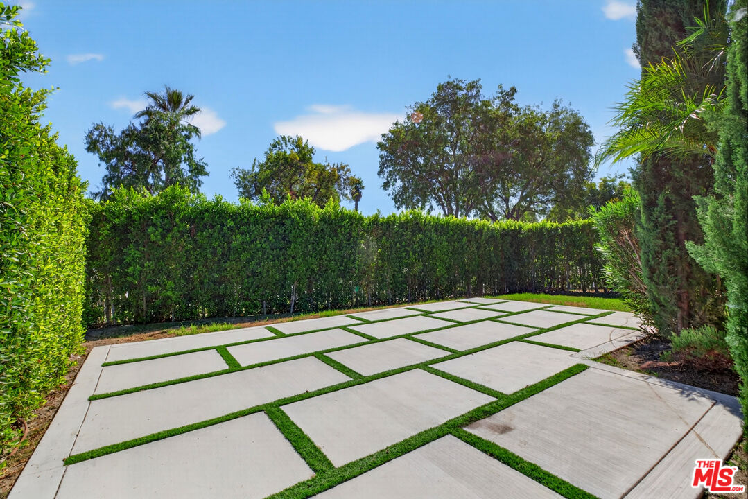 Concrete driveway with grass between paving slabs, bordered by tall hedges and trees.
