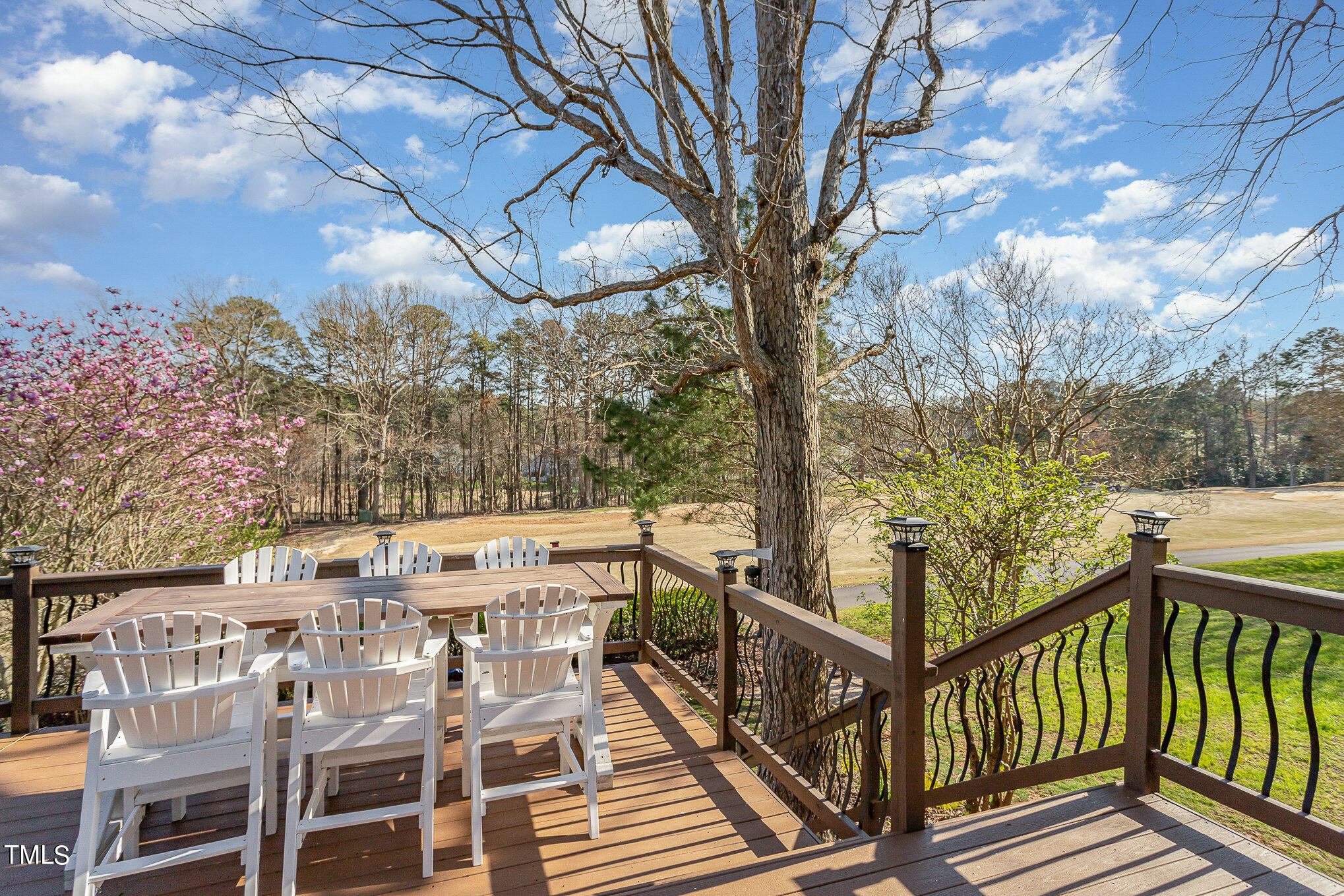10105 Goodview Court