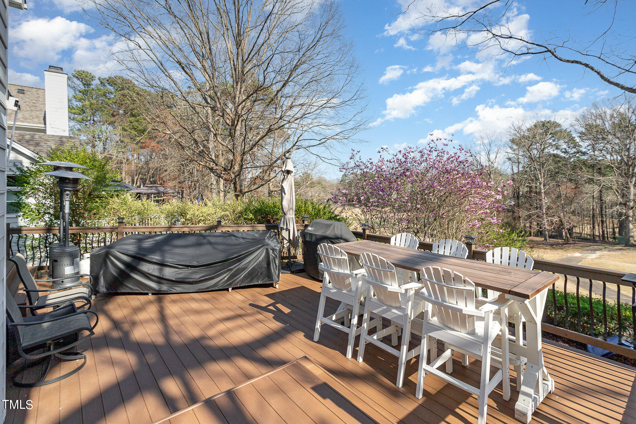 10105 Goodview Court