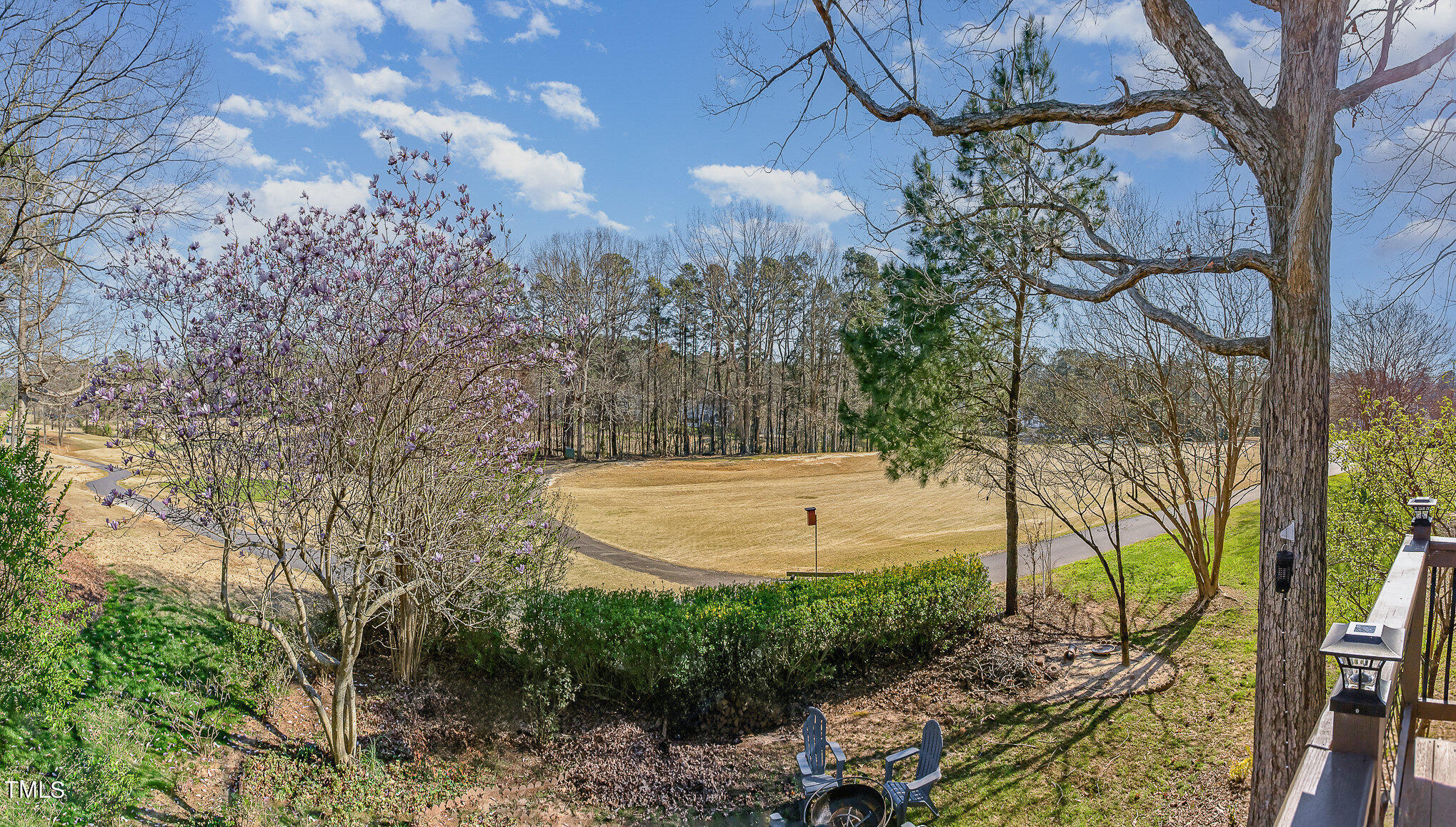 10105 Goodview Court
