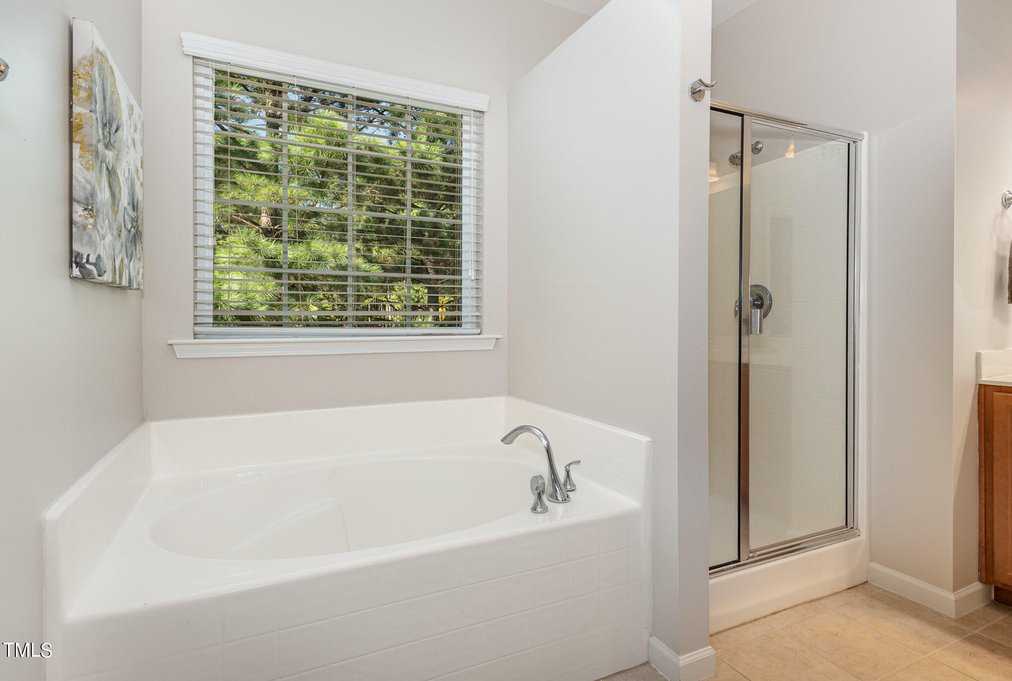 3859 Wild Meadow Lane