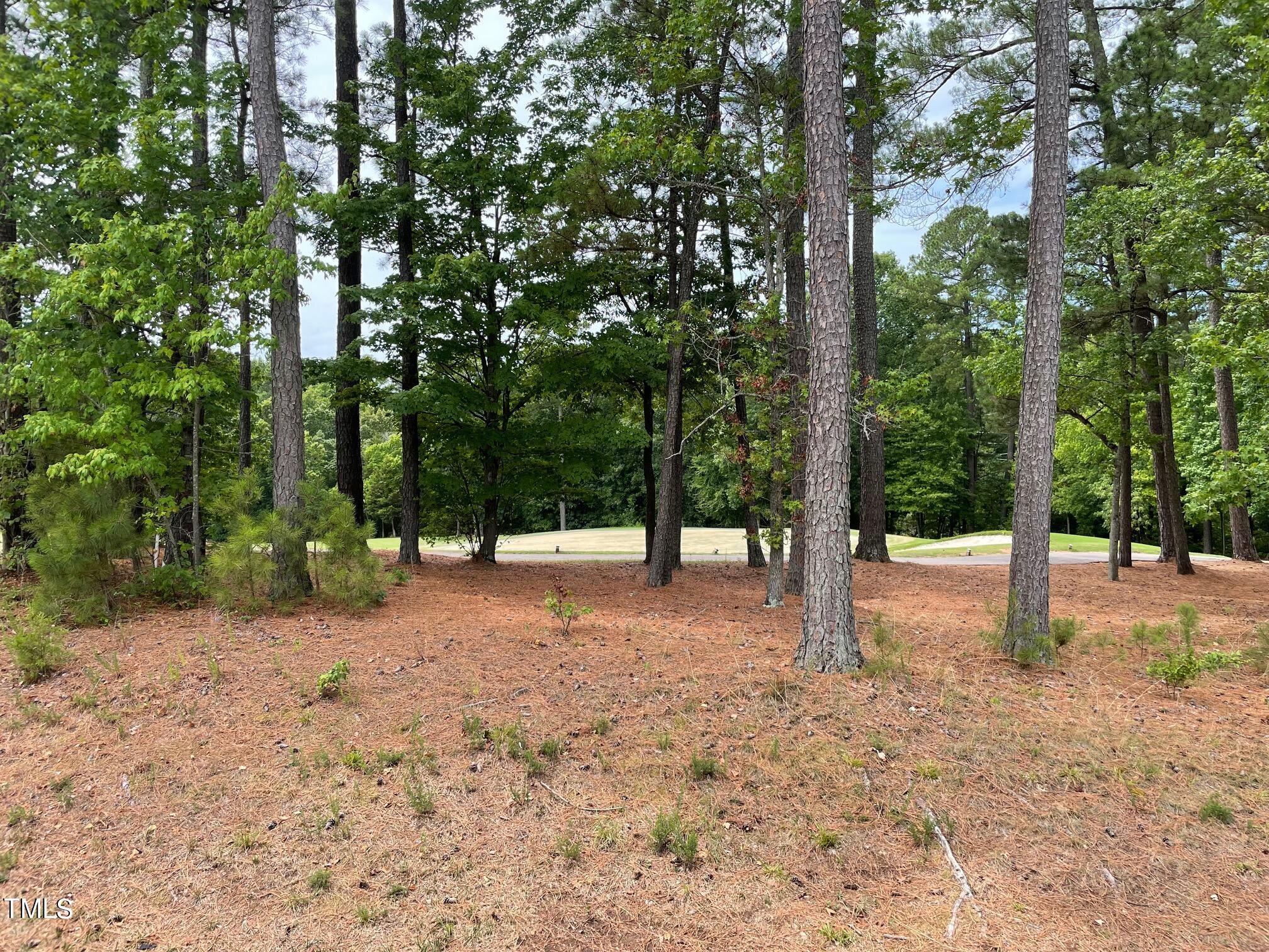 11108 Penderwood Court
