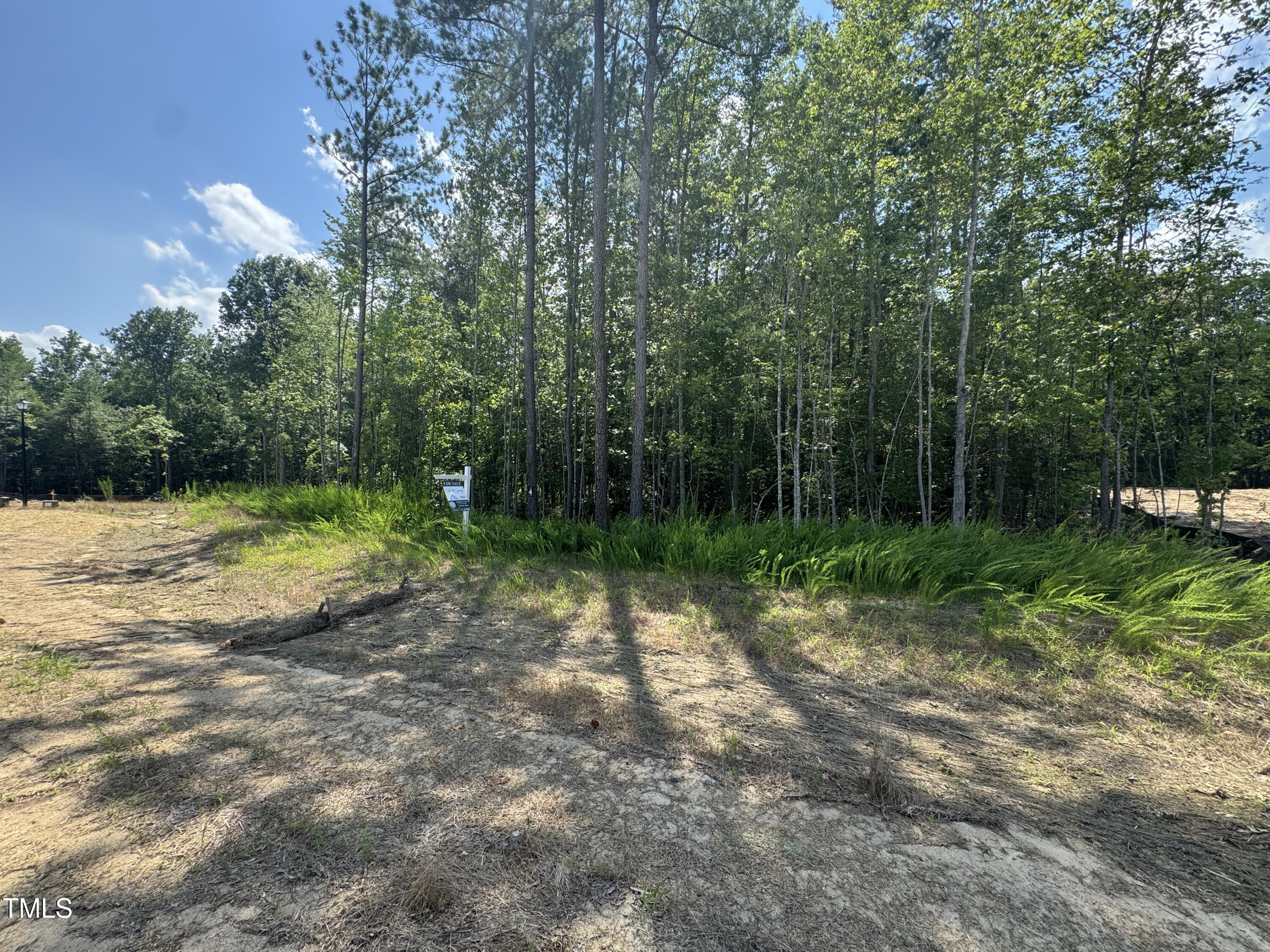 4348 Coldwater Springs Drive