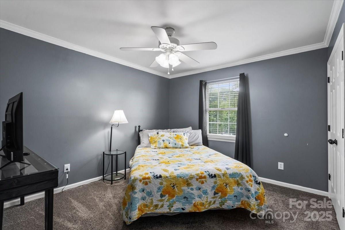 1543 Newfound Hollow Drive