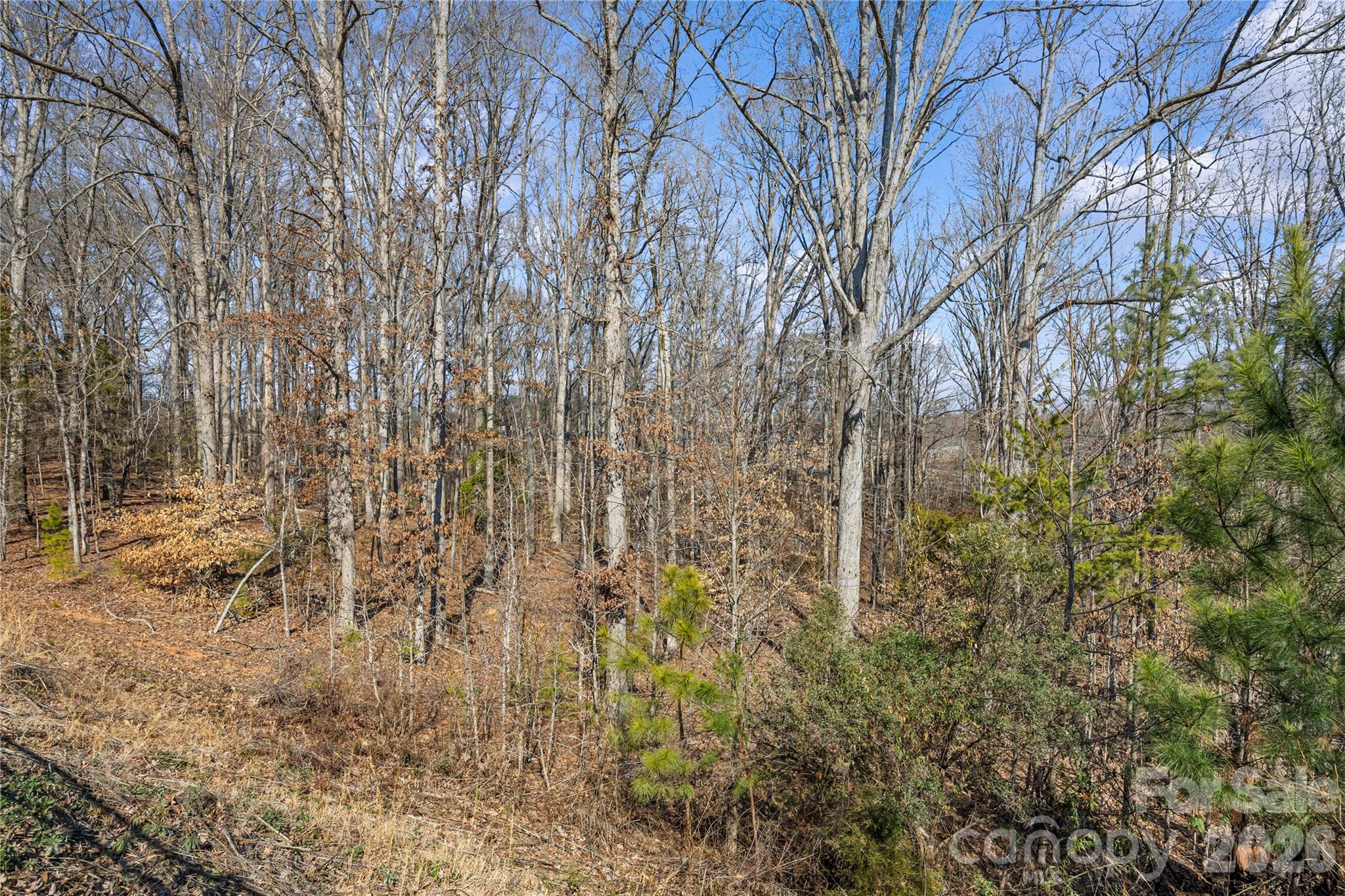 609 Cape Fear Street