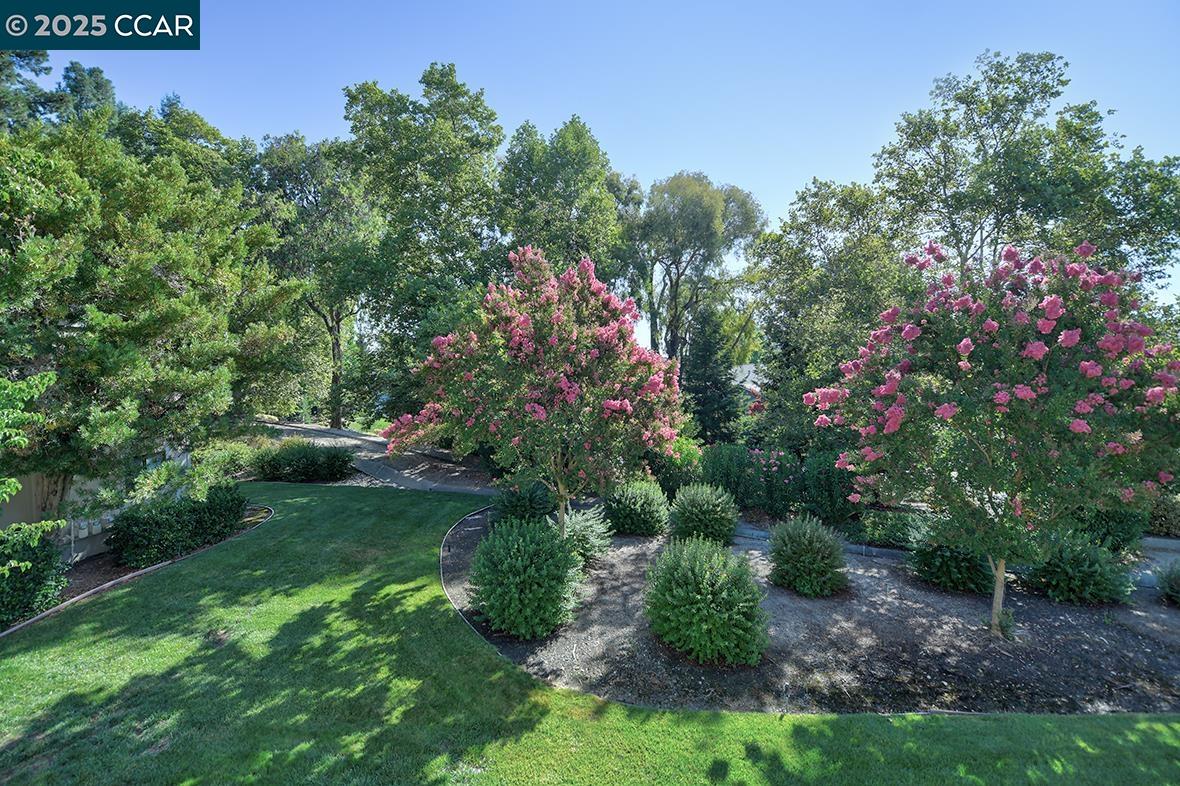 1408 Golden Rain Rd # 1