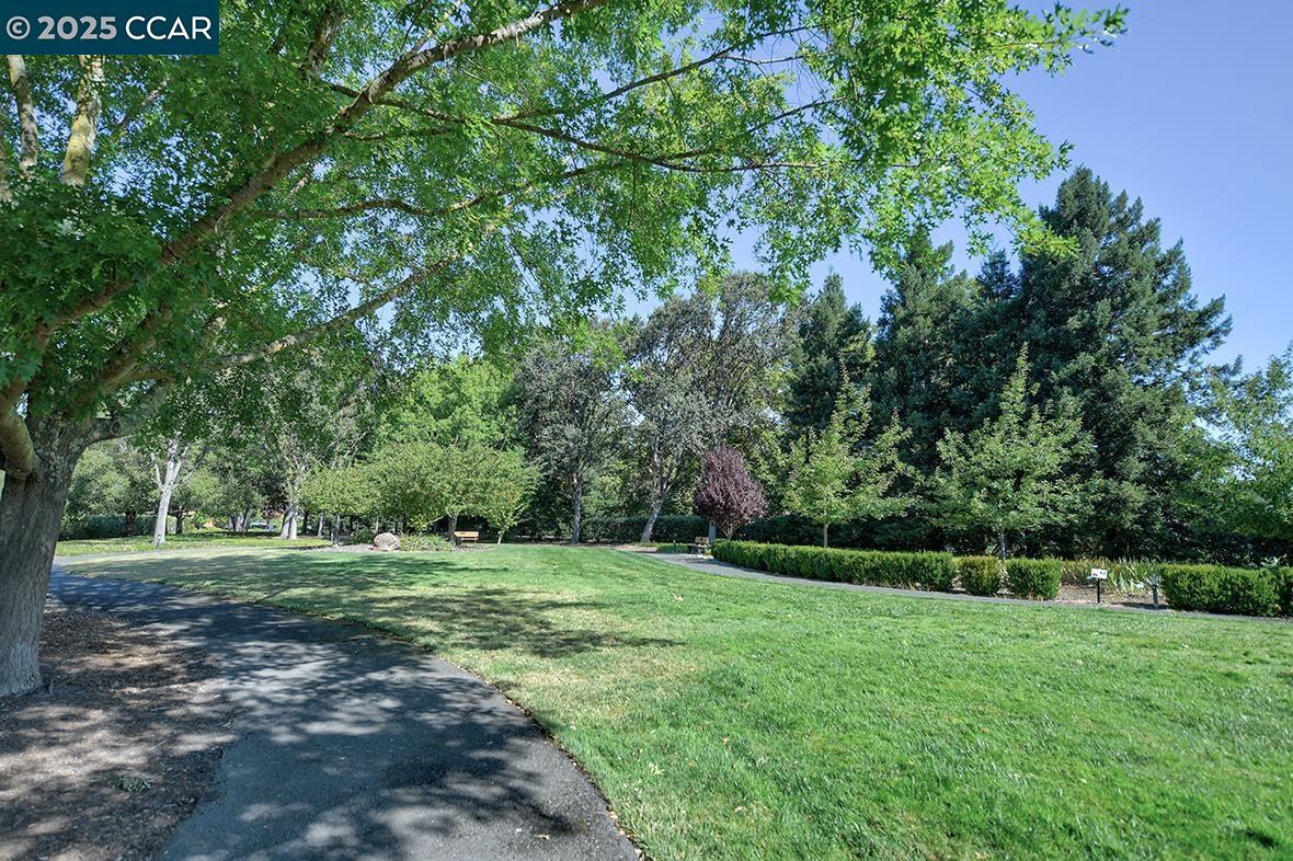 1408 Golden Rain Rd # 1