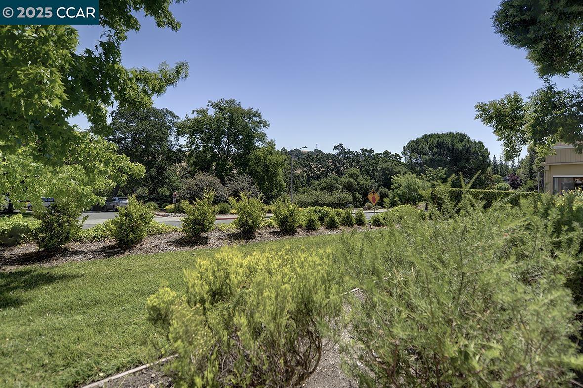 1125 Singingwood Ct # 4