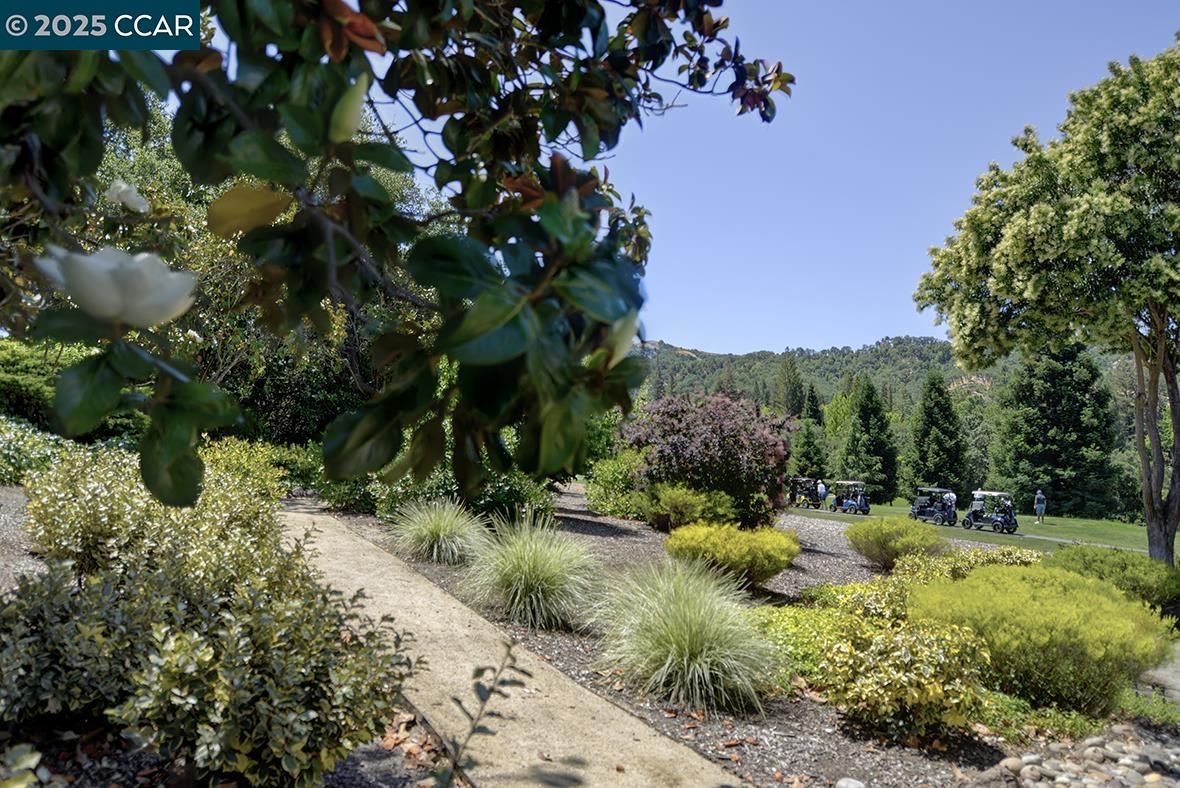 3377 Rossmoor Pkwy # 3