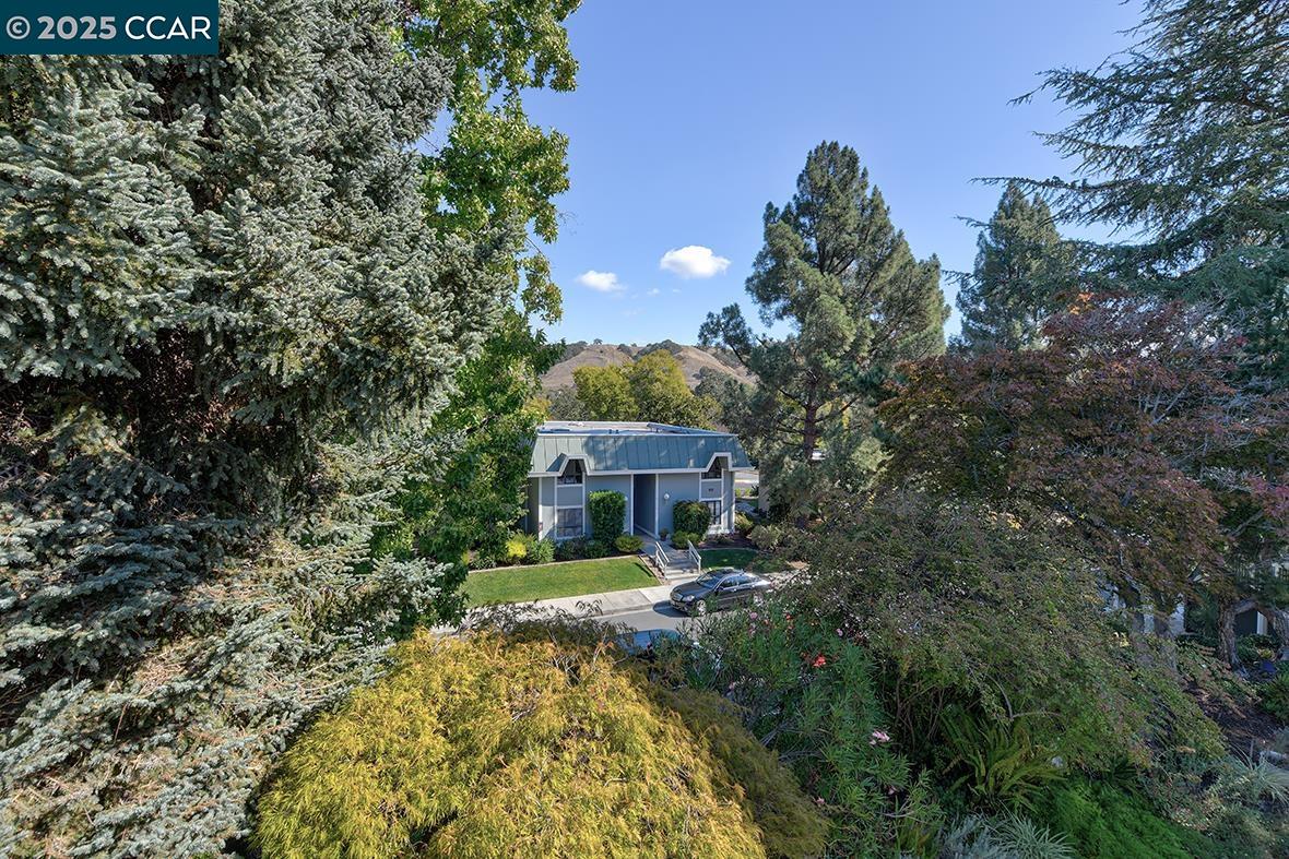 1173 Singingwood Ct # 4, Walnut Creek Unit: 4