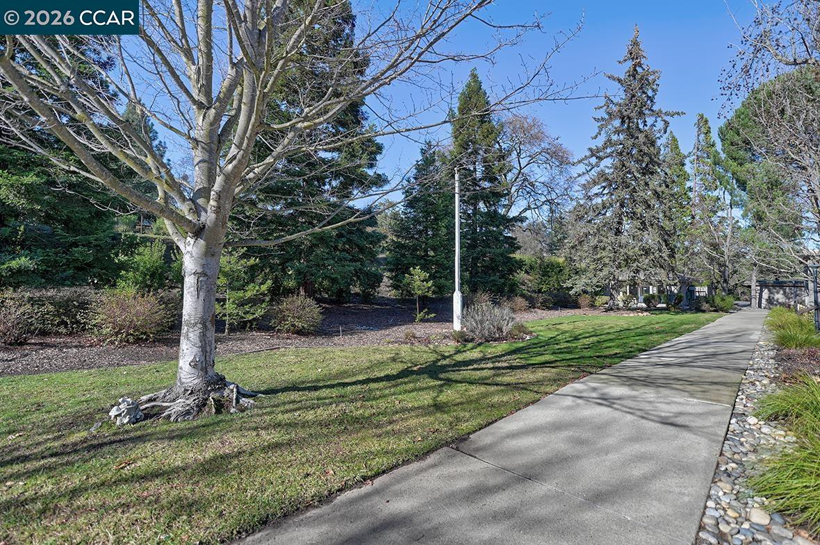 1548 Golden Rain Rd # 9