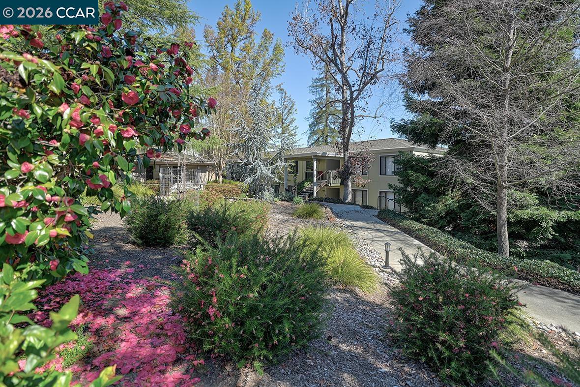 1184 Rockledge Ln # 5