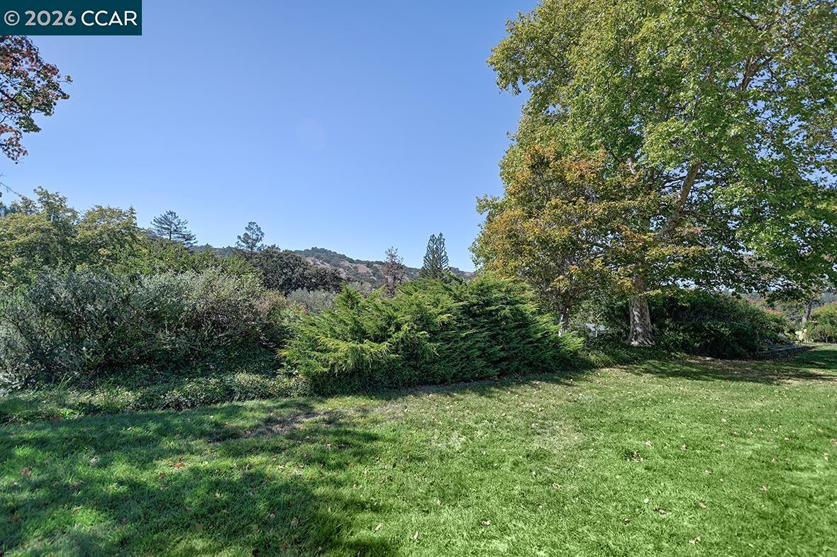 2125 Cactus Ct # 3